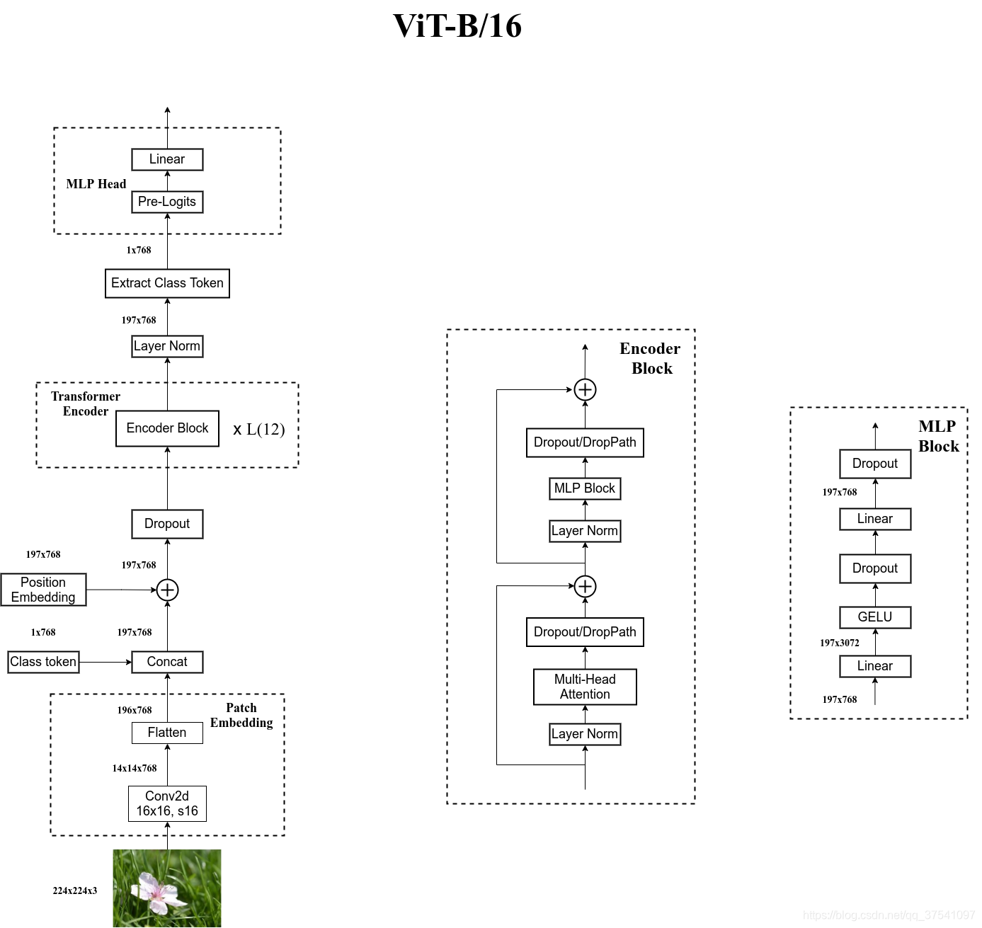 ViT-B/16
