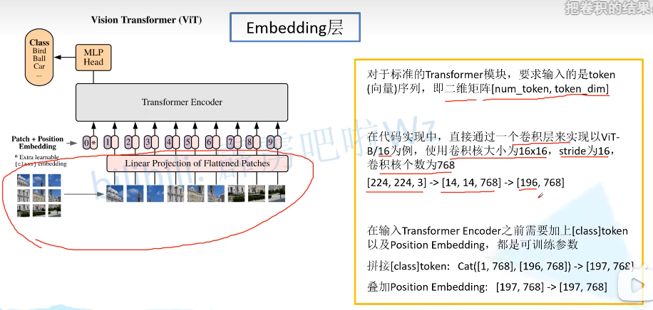 Embedding参数